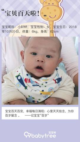 journal_insert_pic_1162133091