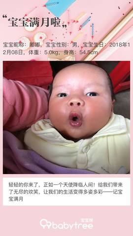 journal_insert_pic_1162710493