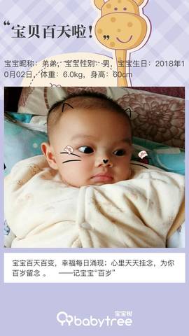 journal_insert_pic_1162764053