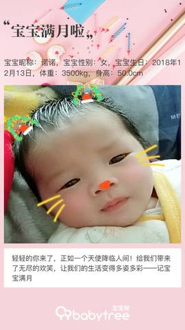 journal_insert_pic_1162725338