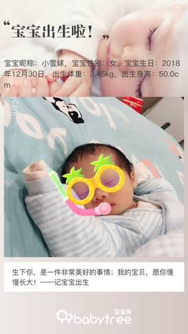 journal_insert_pic_1162812883
