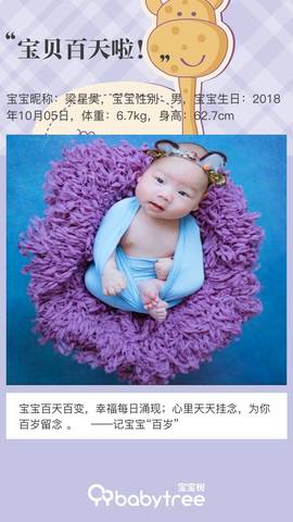 journal_insert_pic_1163354106