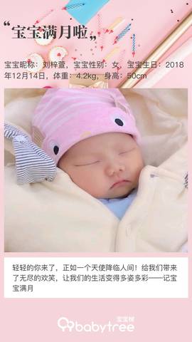 journal_insert_pic_1163303771
