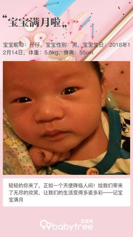 journal_insert_pic_1163447365