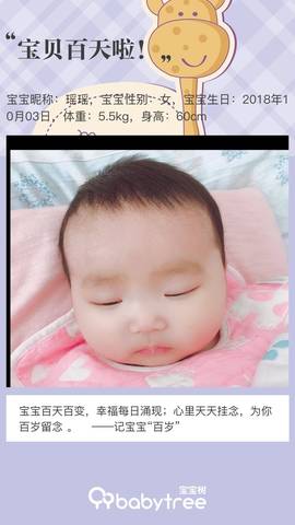 journal_insert_pic_1163671355