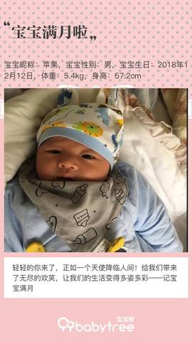 journal_insert_pic_1163501480