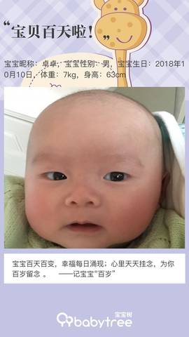 journal_insert_pic_1164779109