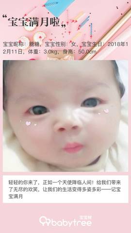 journal_insert_pic_1165154583