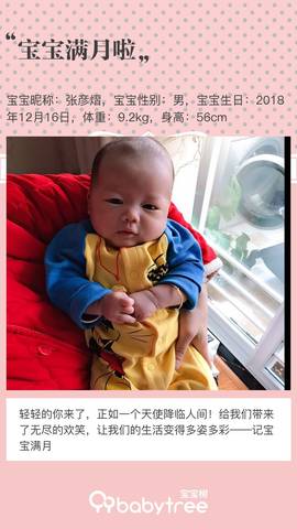 journal_insert_pic_1165669732