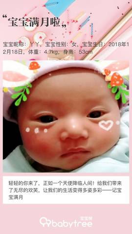 journal_insert_pic_1165630175