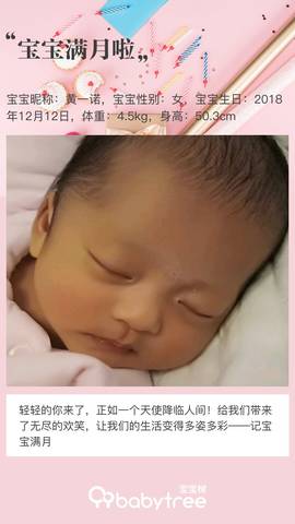 journal_insert_pic_1165715546