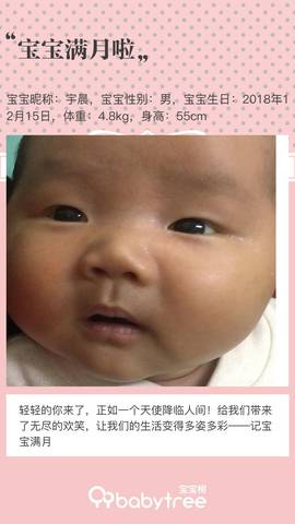 journal_insert_pic_1166128340