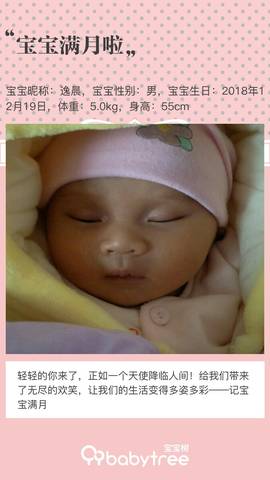 journal_insert_pic_1166682078