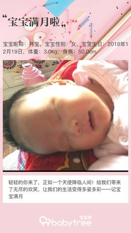 journal_insert_pic_1166928594