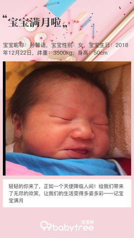 journal_insert_pic_1167146623