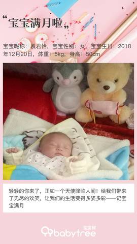 journal_insert_pic_1167183350
