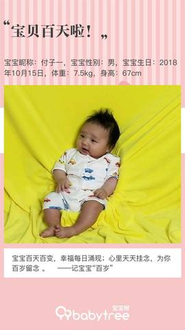 journal_insert_pic_1167545364