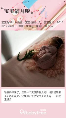 journal_insert_pic_1167601821