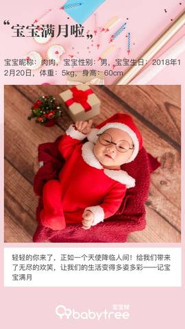 journal_insert_pic_1168046669