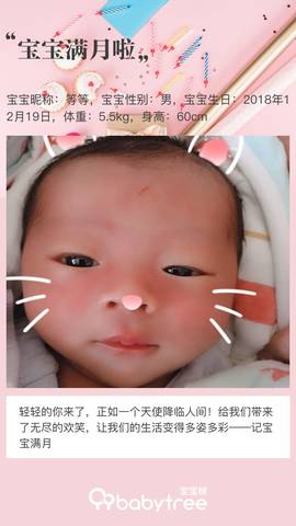 journal_insert_pic_1167928844