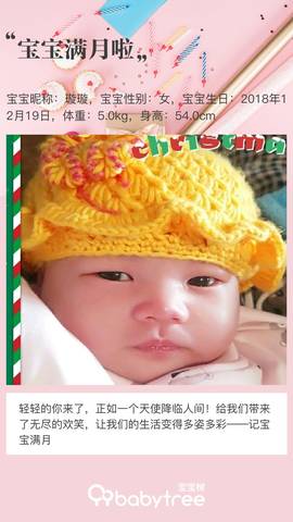 journal_insert_pic_1168125916