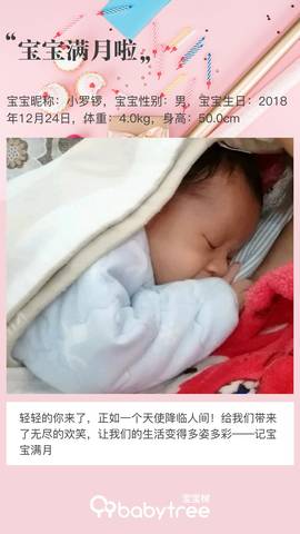 journal_insert_pic_1168346455