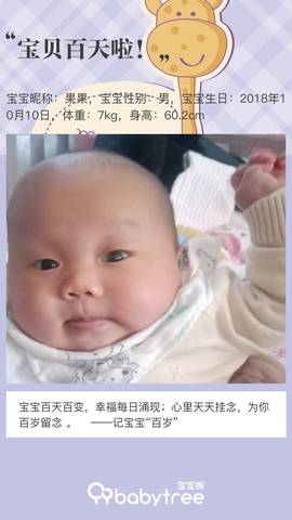 journal_insert_pic_1168701312