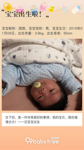 journal_insert_pic_1169179047