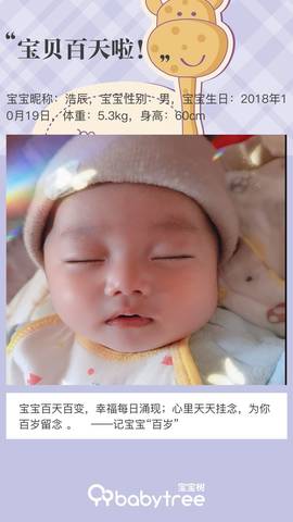 journal_insert_pic_1168883232