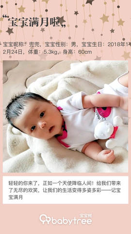 journal_insert_pic_1169307824