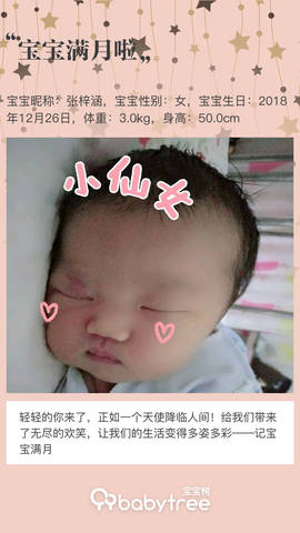 journal_insert_pic_1169892758