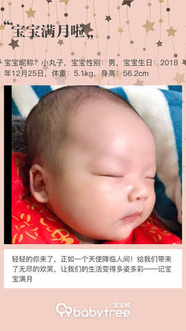 journal_insert_pic_1169810479