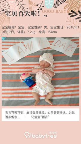 journal_insert_pic_1171040730