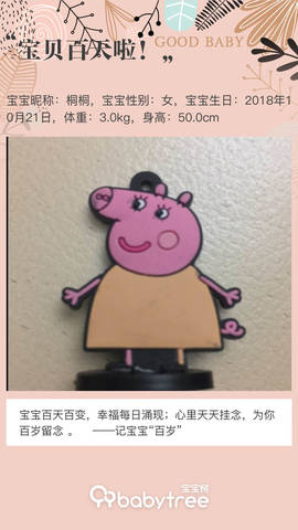 journal_insert_pic_1172133646