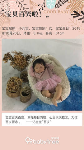 journal_insert_pic_1172231725