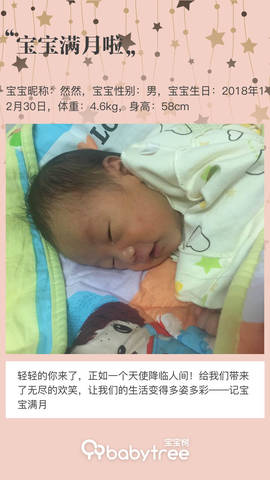 journal_insert_pic_1172255673