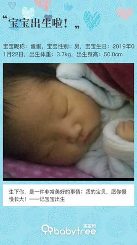 journal_insert_pic_1173288094