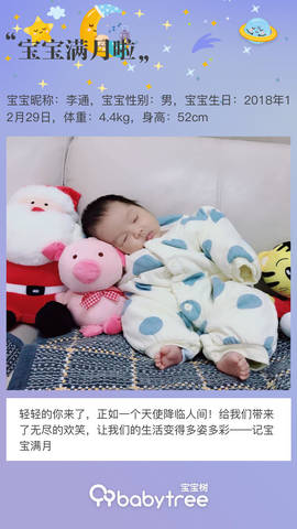 journal_insert_pic_1173881002