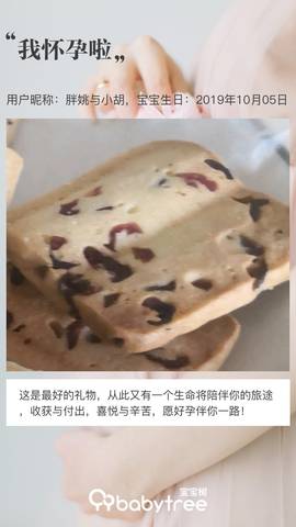 journal_insert_pic_1174479937