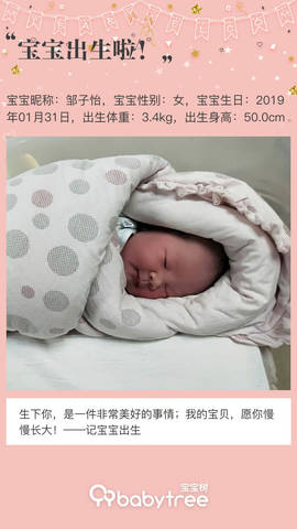 journal_insert_pic_1175071334
