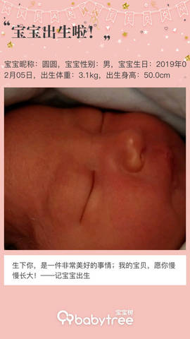 journal_insert_pic_1175775117