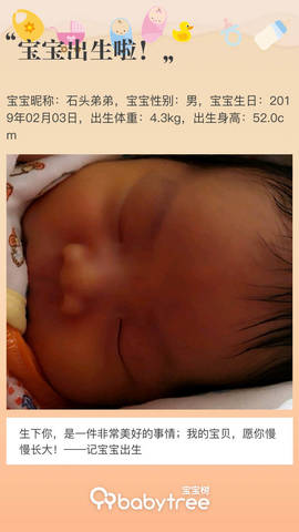 journal_insert_pic_1177636636