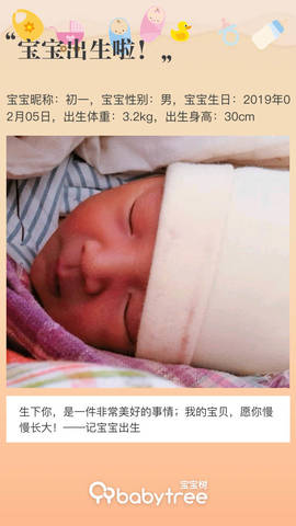 journal_insert_pic_1177648093