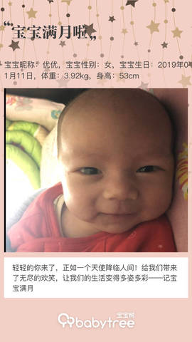 journal_insert_pic_1179515728