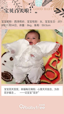 journal_insert_pic_1180612746