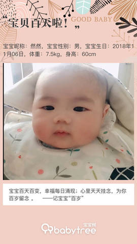 journal_insert_pic_1180213134