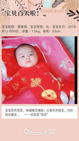 journal_insert_pic_1181412509