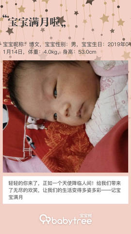 journal_insert_pic_1182082450