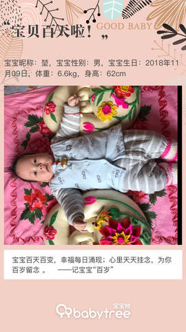 journal_insert_pic_1182930164