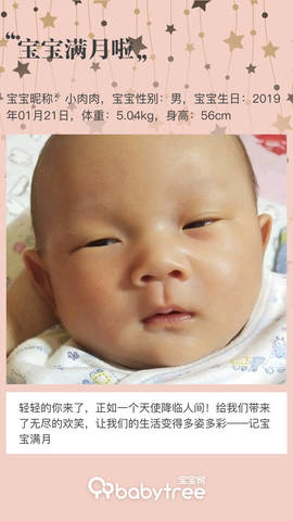 journal_insert_pic_1186593440